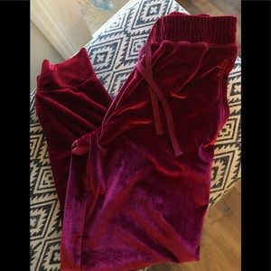 Fabletics Velour Pants